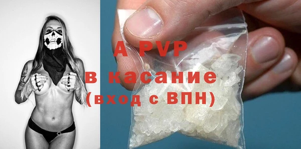 прущие грибы Иннополис