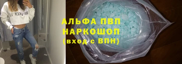 PSILOCYBIN Каменногорск