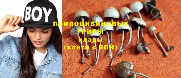 мет Каменка