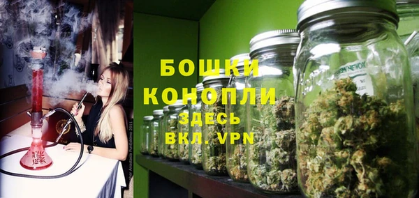 PSILOCYBIN Каменногорск