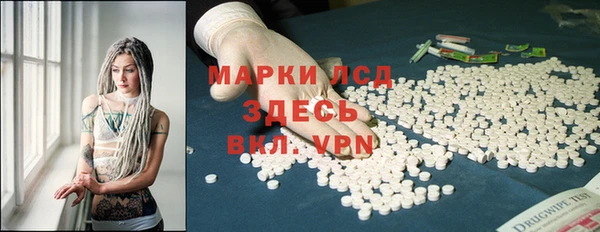 прущие грибы Иннополис