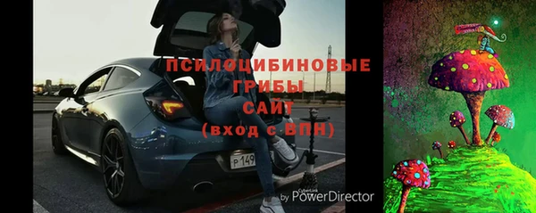 прущие грибы Майский