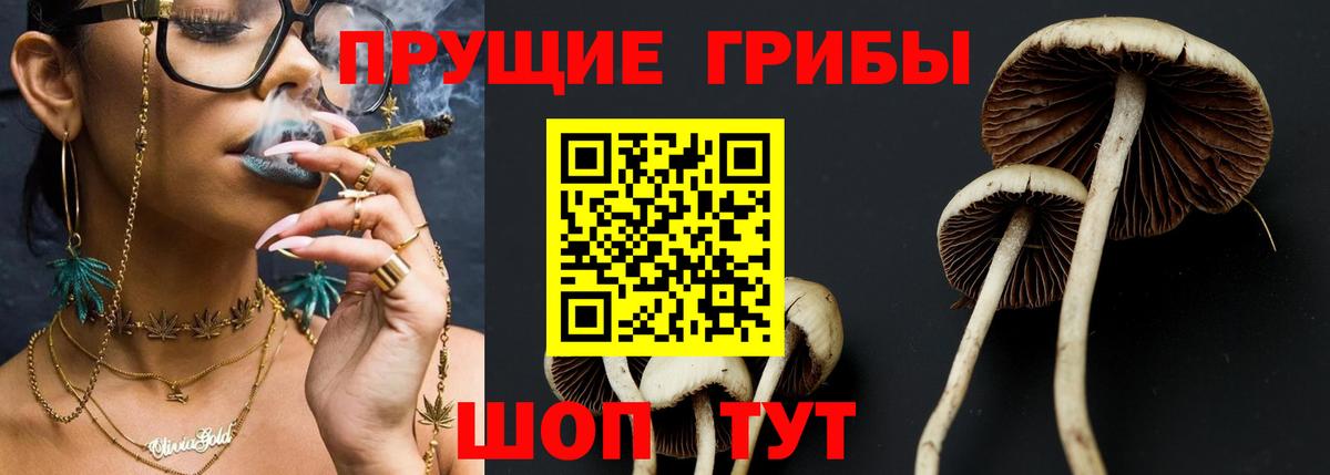 Галлюциногенные грибы MAGIC MUSHROOMS  наркотики  Корсаков  Вход с VPN 