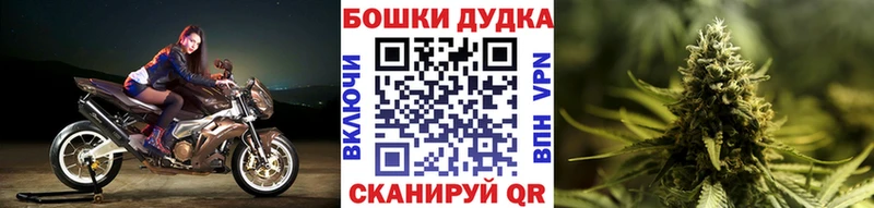 Шишки марихуана семена  Корсаков 